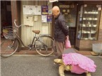 Kỳ lạ “mốt” dẫn rùa đi dạo ở Nhật
