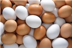 Bà bầu ăn trứng nhiều có tốt không?