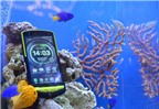 Độc đáo smartphone chống nước mặn từ Kyocera