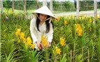Loay hoay tìm giống tốt cho hoa lan