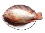 Cách làm món cá diêu hồng sốt ngũ sắc