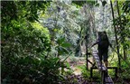 Hang Nai: Bài học du lịch xanh từ Malaysia