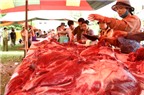 Kỹ thuật nuôi trâu  cho năng suất chất lượng thịt tốt