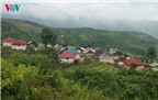 Độc đáo nhà mái cỏ trên núi Kin Chu Phìn