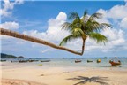 Top 8 hòn đảo tuyệt đẹp chưa bao giờ hết ‘hot’ của du lịch Thái Lan