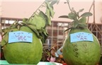 Những củ, quả “khủng” níu chân du khách đến Lễ hội trái cây