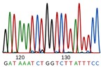Các kỹ thuật phân tích DNA tìm sự khác biệt giữa 2 người sinh đôi