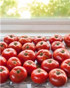 Cách làm nước sốt cà chua đặc sánh đẹp mắt