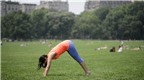 9 động tác yoga dành cho người lười vận động