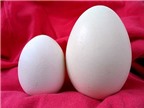 Trứng ngỗng tốt cho phụ nữ mang thai đến đâu?