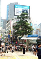 Du lịch Hàn Quốc vào mùa hè: Một số điểm cần lưu ý