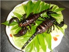 Những món ăn từ bọ cạp dân nhậu mê tít
