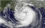 Sự khác biệt giữa bão hurricane, bão cyclone, và bão typhoon là gì?