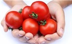 Cà chua nên ăn sống hay chín thì tốt?