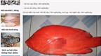 Nhà giàu Hà Thành tẩm bổ cá mú đỏ 1 triệu/kg