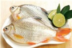 7 món ăn từ cá diếc cho người suy nhược cơ thể