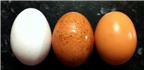 Quả trứng và những điều thú vị có thể bạn chưa biết