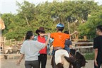 Dạy kỹ năng sống cho trẻ tự kỷ, khuyết tật qua việc học cưỡi ngựa: Cách hay rèn thể chất và tinh thần