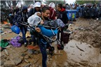 Romania phản đối cách tính hạn ngạch tiếp nhận người di cư
