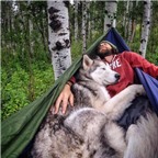 Chùm ảnh siêu cool về chú sói lai cùng chủ đi du lịch khắp thế giới