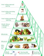 Kiểm soát chế độ ăn bằng tháp dinh dưỡng