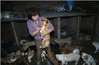 Người phụ nữ dành toàn bộ tài sản để chăm sóc cho 140 chú chó