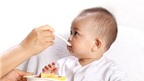 5 thực phẩm ăn dặm tốt cho bé từ 5-6 tháng tuổi