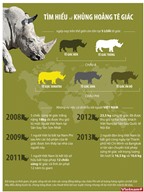 [Infographics] Loài tê giác đứng trước nguy cơ tuyệt chủng