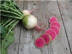 Cách trồng củ cải mini “trắng vỏ đỏ lòng” vừa đẹp vừa ngon