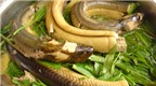 Hiểm họa ăn lươn “ngậm” thuốc tránh thai