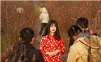 'Hot girl vườn đào' Kiều Trinh bật khóc trong MV mới